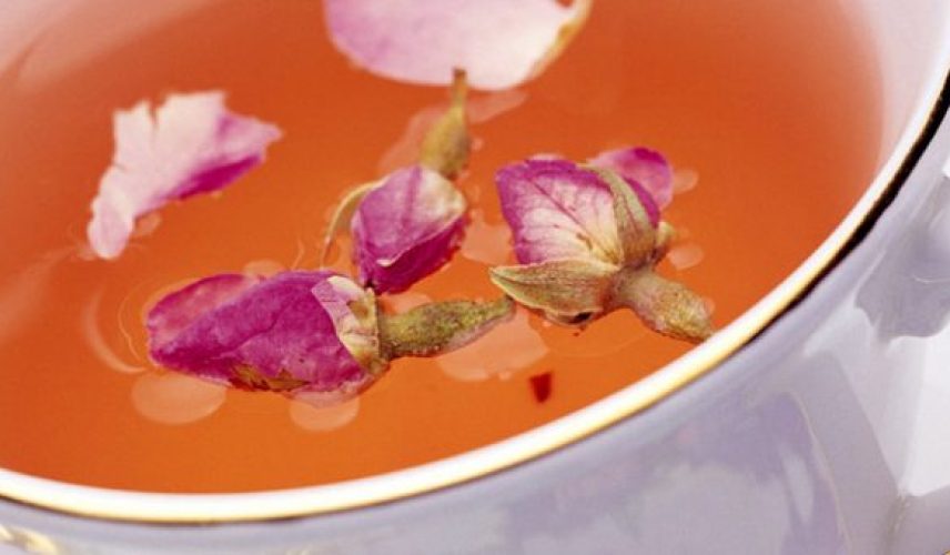 tea-wallpaper_1024x768_36701-1000x340